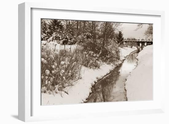 Winter Scenic II-Dana Styber-Framed Photographic Print