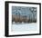 Winter Sheeps-null-Framed Art Print