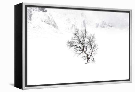 Winter Shelter-Andreas Stridsberg-Framed Stretched Canvas