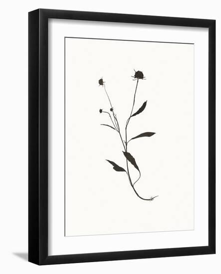 Winter Silhouette-Maria Mendez-Framed Giclee Print