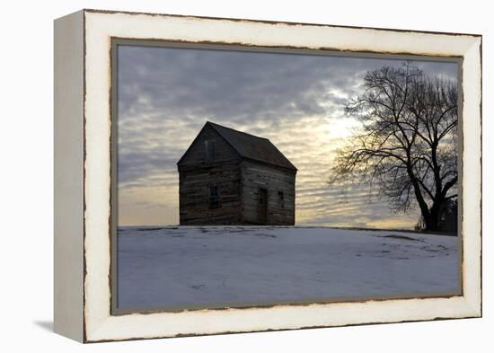 Winter Sky I-Alan Hausenflock-Framed Premier Image Canvas