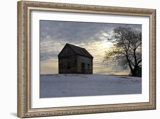 Winter Sky I-Alan Hausenflock-Framed Photographic Print