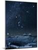 Winter Sky with Orion Constellation-Eckhard Slawik-Mounted Photographic Print