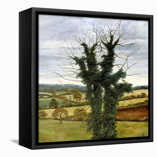 Winter Sky-Cristiana Angelini-Framed Premier Image Canvas