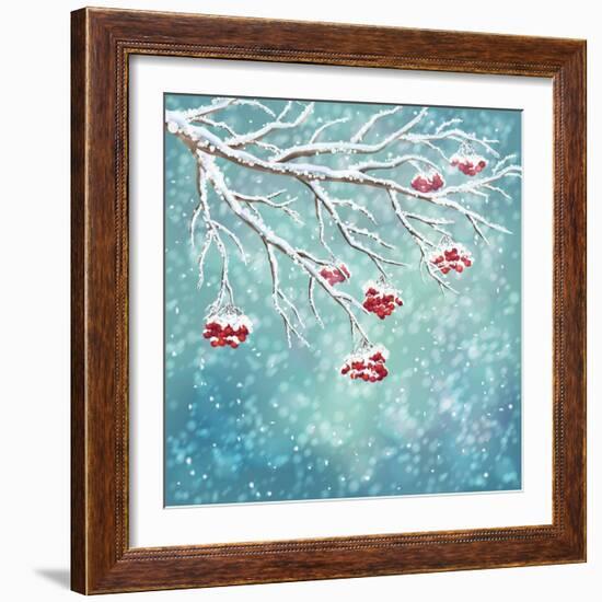 Winter Snow Covered Rowan Berry Background-kostins-Framed Art Print