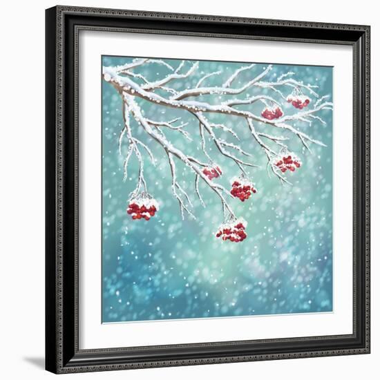 Winter Snow Covered Rowan Berry Background-kostins-Framed Art Print