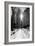 Winter Snow in Central Park, New York City-Zigi-Framed Photographic Print