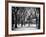 Winter Snow in Central Park View-Philippe Hugonnard-Framed Photographic Print