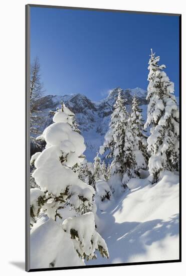 Winter Snow, Mieminger Crest, Hohe Wand, Valley Gaistal, Tyrol, Austria-Martin Zwick-Mounted Photographic Print