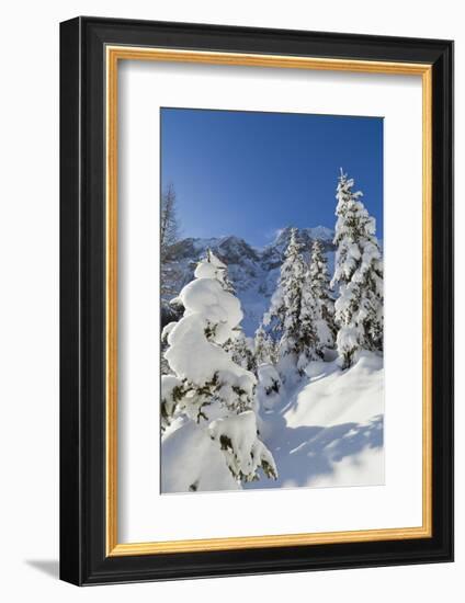 Winter Snow, Mieminger Crest, Hohe Wand, Valley Gaistal, Tyrol, Austria-Martin Zwick-Framed Photographic Print