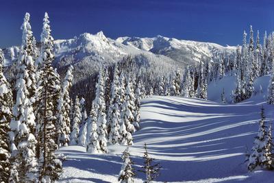 Winter Snow Scene Steeple Rock Olympic National Park Washington Usa Photographic Print Panoramic Images Art Com