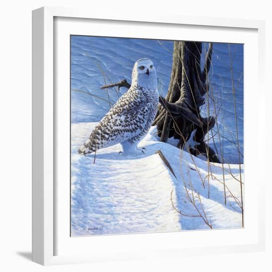 Winter Snow-Michael Budden-Framed Giclee Print