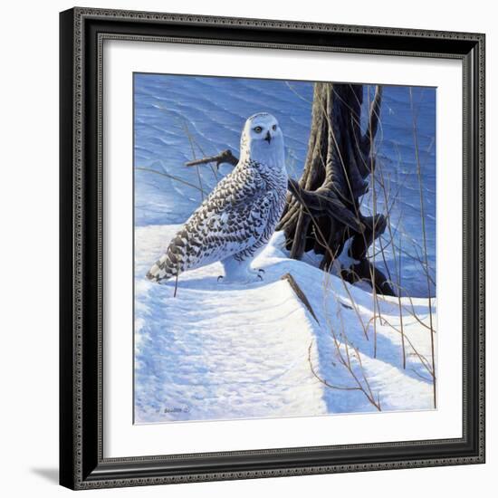 Winter Snow-Michael Budden-Framed Giclee Print