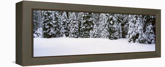 Winter Snowstorm in the Lake Tahoe Area, California-null-Framed Stretched Canvas