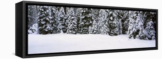 Winter Snowstorm in the Lake Tahoe Area, California-null-Framed Stretched Canvas