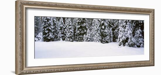 Winter Snowstorm in the Lake Tahoe Area, California-null-Framed Photographic Print