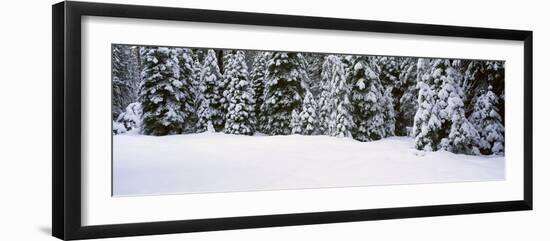 Winter Snowstorm in the Lake Tahoe Area, California-null-Framed Photographic Print