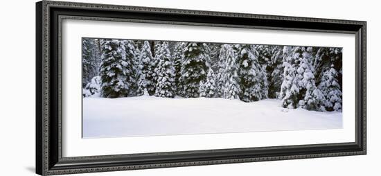 Winter Snowstorm in the Lake Tahoe Area, California-null-Framed Photographic Print