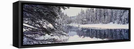 Winter Snowstorm in the Lake Tahoe Area, California-null-Framed Stretched Canvas