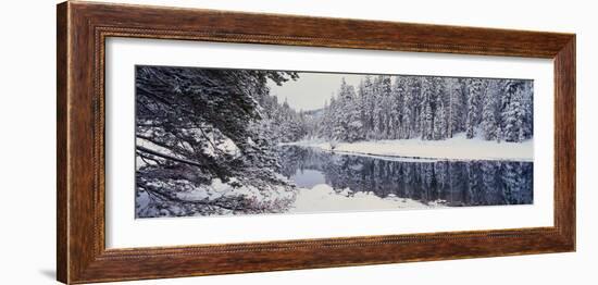 Winter Snowstorm in the Lake Tahoe Area, California-null-Framed Photographic Print