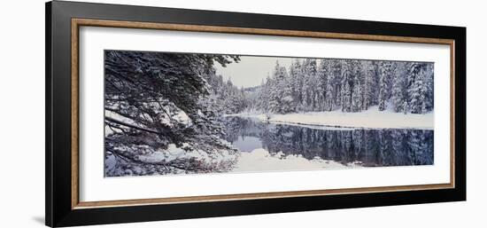 Winter Snowstorm in the Lake Tahoe Area, California-null-Framed Photographic Print