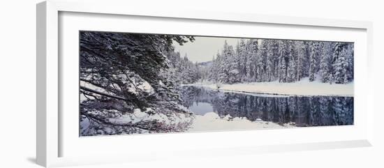 Winter Snowstorm in the Lake Tahoe Area, California-null-Framed Photographic Print