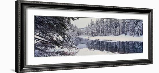 Winter Snowstorm in the Lake Tahoe Area, California-null-Framed Photographic Print