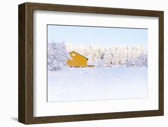 Winter Snowy Landscape. Wooden Yellow House and Forest Covered by Snow. the Bright Morning Sun of A-Borisenkov Andrei-Framed Photographic Print