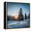 Winter Snowy Pine Trees at Sunset-Dudarev Mikhail-Framed Premier Image Canvas