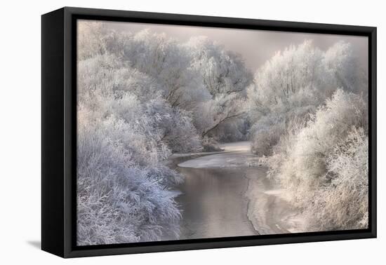 Winter Song-Sebestyen Bela-Framed Premier Image Canvas