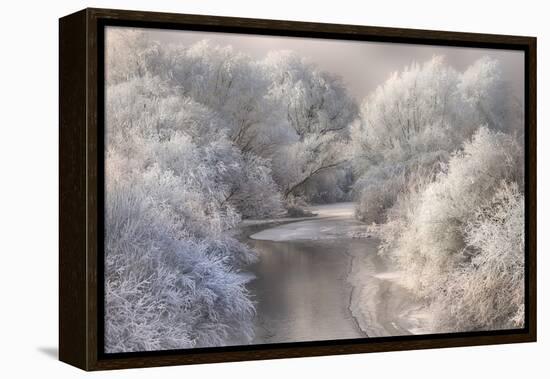 Winter Song-Sebestyen Bela-Framed Premier Image Canvas