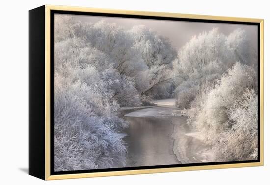 Winter Song-Sebestyen Bela-Framed Premier Image Canvas