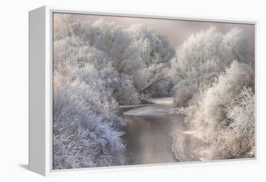 Winter Song-Sebestyen Bela-Framed Premier Image Canvas