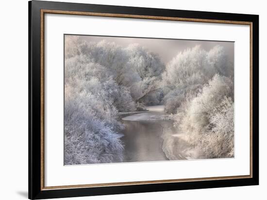 Winter Song-Sebestyen Bela-Framed Premium Photographic Print