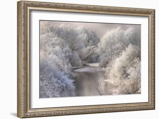 Winter Song-Sebestyen Bela-Framed Photographic Print