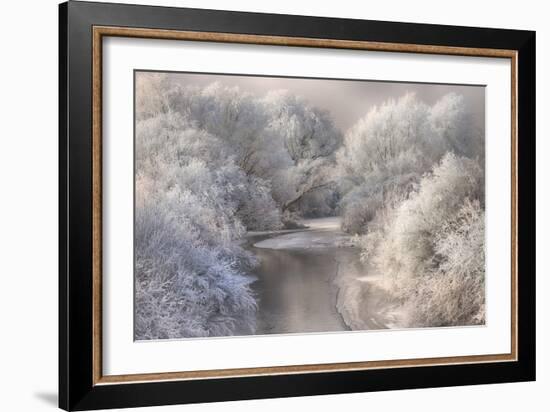 Winter Song-Sebestyen Bela-Framed Photographic Print