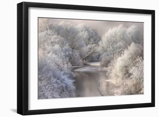 Winter Song-Sebestyen Bela-Framed Photographic Print