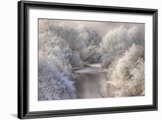 Winter Song-Sebestyen Bela-Framed Photographic Print