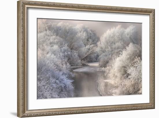 Winter Song-Sebestyen Bela-Framed Photographic Print