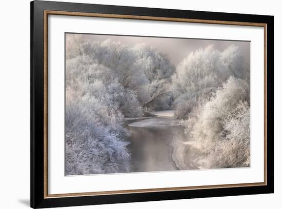 Winter Song-Sebestyen Bela-Framed Photographic Print