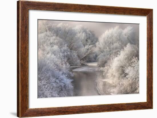 Winter Song-Sebestyen Bela-Framed Photographic Print