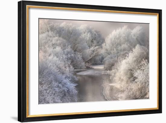 Winter Song-Sebestyen Bela-Framed Photographic Print