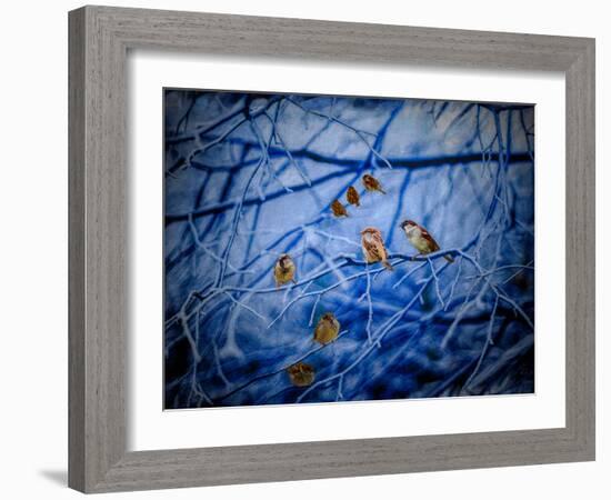 Winter Sparrows, 2020, (composite painting)-Helen White-Framed Giclee Print