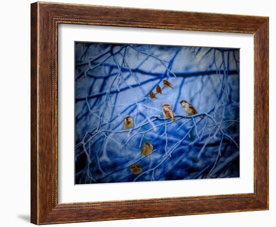 Winter Sparrows, 2020, (composite painting)-Helen White-Framed Giclee Print