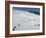 Winter Sports at Feldberg, Black Forest, Baden-Wurttemberg, Germany, Europe-Hans Peter Merten-Framed Photographic Print