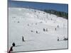 Winter Sports at Feldberg, Black Forest, Baden-Wurttemberg, Germany, Europe-Hans Peter Merten-Mounted Photographic Print