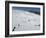 Winter Sports at Feldberg, Black Forest, Baden-Wurttemberg, Germany, Europe-Hans Peter Merten-Framed Photographic Print