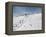 Winter Sports at Feldberg, Black Forest, Baden-Wurttemberg, Germany, Europe-Hans Peter Merten-Framed Premier Image Canvas