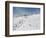 Winter Sports at Feldberg, Black Forest, Baden-Wurttemberg, Germany, Europe-Hans Peter Merten-Framed Photographic Print