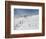 Winter Sports at Feldberg, Black Forest, Baden-Wurttemberg, Germany, Europe-Hans Peter Merten-Framed Photographic Print